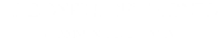 Ai confini del mondo Frammenti di divinità - Fabrizio Mitolo